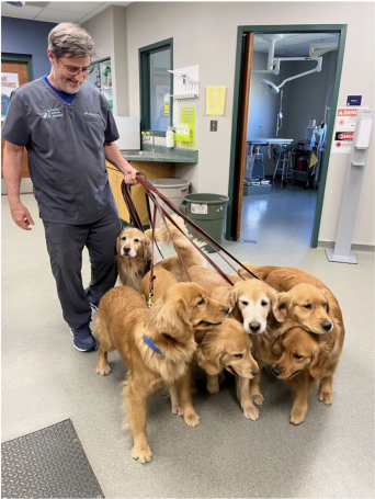 Dr. Wayne Boillat_2026 Westminster Vet of the Year (2)