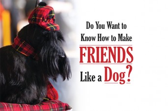 F Friends Like A Dog