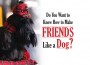 F Friends Like A Dog
