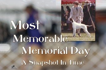 F Most Memorable Memoridal Day