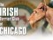 F The Irish Terrier Club of Chicago