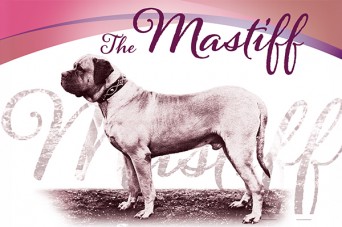 F The Mastiff