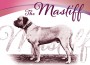 F The Mastiff