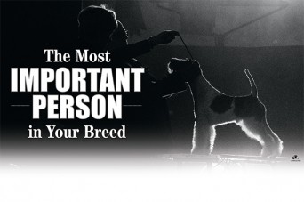 F The Most Important Person