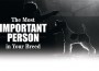 F The Most Important Person
