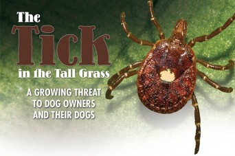 F The Tick