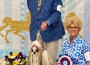 Hallmark Jolei Pie In The Sky