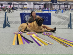 Impeccable’s Odysseus The Faithful