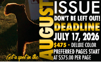 K9_DEADLINES_Aug2026