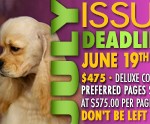 K9_DEADLINES_July2026