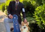 Linincorgi Peanut Butter & Limelite