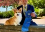 Linincorgi Peanut Butter & Limelite2