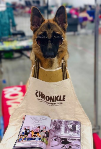 Moses GSD