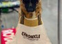 Moses GSD