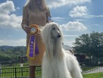 Spirit Ridge Something Special of Celebre