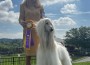 Spirit Ridge Something Special of Celebre