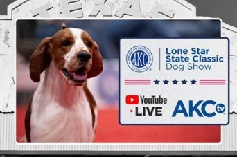 AKC TV
