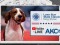 AKC TV