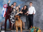 Alpha Delta Kennel A Winter Storm Warnin