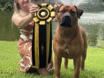 Alpha Delta Kennel A Winter Storm Warning