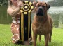 Alpha Delta Kennel A Winter Storm Warning