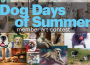 Dog Days of Summer