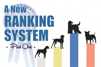 F A New Ranking System