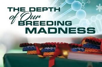 F Breeding Madness