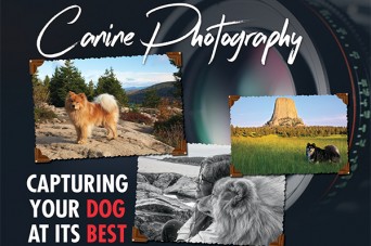 F Canine Photography