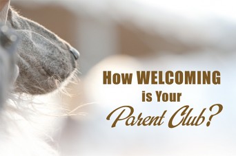F How Welcoming