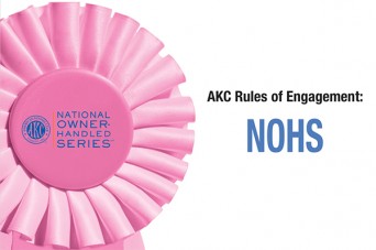 F NOHS Rules