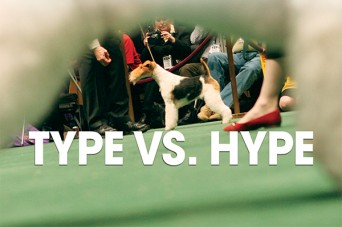F Type vs Hype