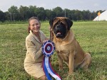 Impeccable's Odysseus The Faithful