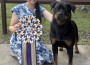 Isengard Heli On Heels