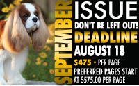 K9_DEADLINES_Sept2026