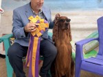 Northwinds-There-Is-Only-One-King