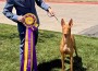 Osiris Quest For Sawyer’s Gold At Hallam