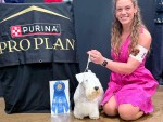 Pegfield Tintern Tickled Pink