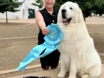 R Pyr Rocky Mountain Hi!