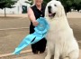 R Pyr Rocky Mountain Hi!