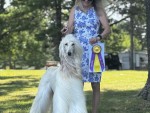 Spirit Ridge Something Special of Celebre