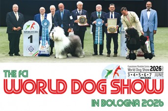 132 F Recap- World Dog Show