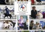 174 ATR Lone Star Classic