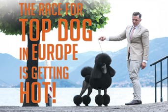 204 F The Race For Top Dog
