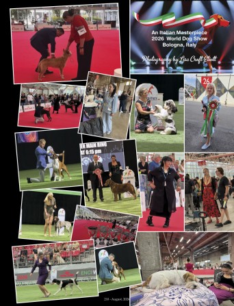 210 ATR 2026 World Dog Show