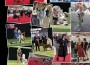 210 ATR 2026 World Dog Show