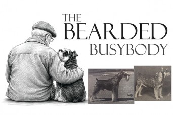 300 F The Bearded Busybody