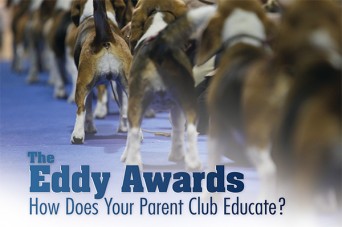 90 F Eddy Awards