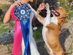 Bellastaff Running Down A Dream