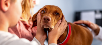 CHF When Pain Changes More Than Movement